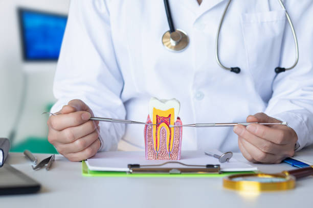 Best Emergency Dental Care for Abscessed Tooth in Bonners Ferry, ID